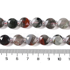 Natural African Bloodstone Beads Strands&nbsp;G-N342-12