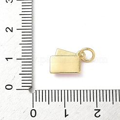 Brass Enamel Charms&nbsp;KK-A273-08G-02