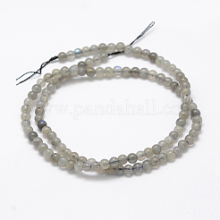 Natural Labradorite Beads Strands&nbsp;G-P322-31-4mm