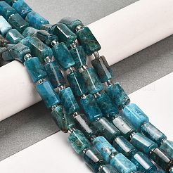 Natural Apatite Beads Strands&nbsp;G-G068-A11-01