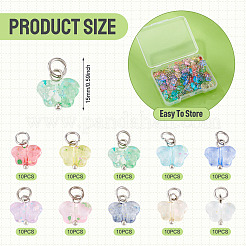 100Pcs 10 Style Transparent Acrylic Pendants&nbsp;PALLOY-TAC0229
