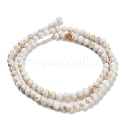 Assembled Synthetic Stone and Trochus Shell Beads Strands&nbsp;G-B128-08A-01