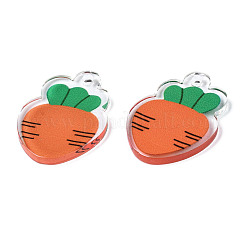 Translucent Acrylic Pendants&nbsp;TACR-N013-008