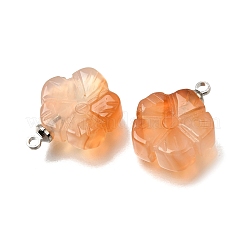 Natural Carnelian Pendants&nbsp;GG-CBA487A-01P-02