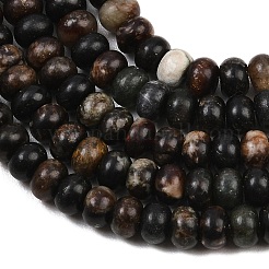 Natural Biotite Beads Strands&nbsp;G-L647-D05-4x6mm