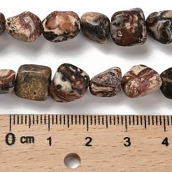 Natural Leopard Skin Jasper Beads Strands&nbsp;G-P497-01E-93