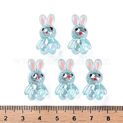 Transparent Acrylic Beads&nbsp;MACR-S373-81-Q03
