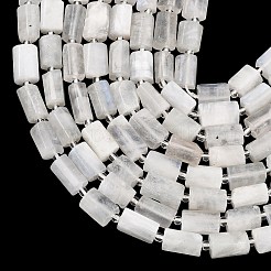 Natural Rainbow Moonstone  Beads Strands&nbsp;G-H352-A01-05