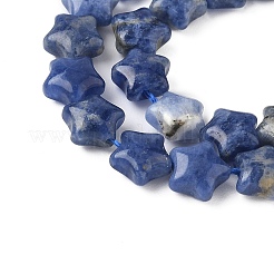 Natural Sodalite Star Beads Strands&nbsp;G-Z080-A09