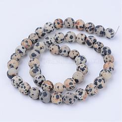 Natural Dalmatian Jasper Beads Strands&nbsp;G-Q462-6mm-05