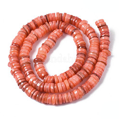 Natural Freshwater Shell Beads Strands&nbsp;SHEL-S278-025H
