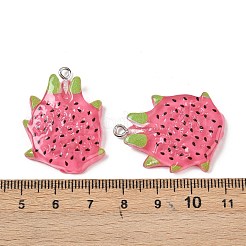 Fruit Theme Spray Painted Opaque Resin Pendants&nbsp;RESI-F061-02
