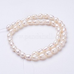Natural Cultured Freshwater Pearl Beads Strands&nbsp;PEAR-P002-55-01