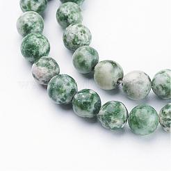 Gemstone Beads Strands&nbsp;GSR6mmC006