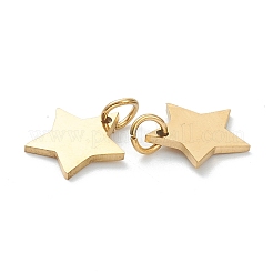 (Defective Closeout Sale:Scratched Surface)304 Stainless Steel Charms&nbsp;LS-STAS-XCP0001-32G