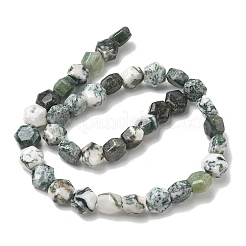 Natural Tree Agate Beads Strands&nbsp;G-G463-A07-10x11mm