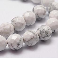 Natural Howlite Beads Strands&nbsp;G-D840-44-6mm