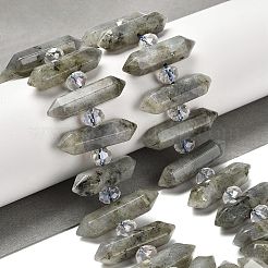 Natural Labradorite Double Terminated Point Beads Strands&nbsp;G-H069-B04-01