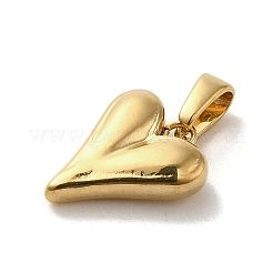 PVD Vacuum Plating 304 Stainless Steel Charms&nbsp;STAS-B053-12G