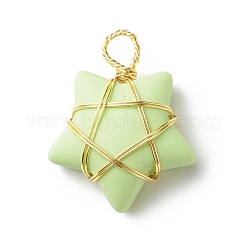 Opaque Resin Pendants&nbsp;PALLOY-JF01849-01