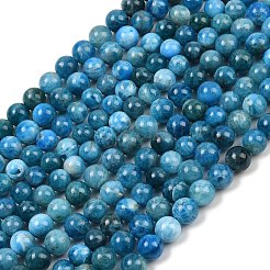 Natural Apatite Beads Strands&nbsp;G-P591-A01-01