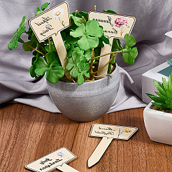 2 Bags Wooden Plant Labels&nbsp;DIY-CP0012-70