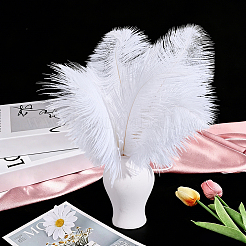 72Pcs 3 Styles Ostrich Feather Craft for Wedding Party Centerpieces Home Decoration&nbsp;DIY-GA0009-95