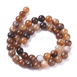 Natural Striped Agate/Banded Agate Beads Strands&nbsp;G-G582-8mm-55