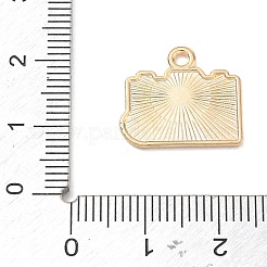 Alloy Enamel Pendants&nbsp;AL-CBA67E2-02KGC-06