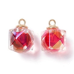 Acrylic Pendants&nbsp;TACR-C021-01
