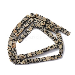 Natural Dalmatian Jasper Beads Strands&nbsp;G-F631-K30