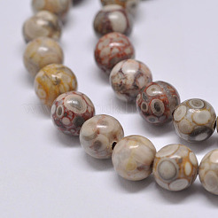 Natural Maifanite/Maifan Stone Beads Strands&nbsp;G-F353-6mm