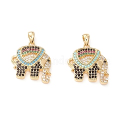 Brass Micro Pave Colorful Cubic Zirconia Pendants&nbsp;X-ZIRC-Z019-14G-NR