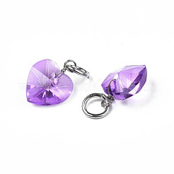 Faceted Transparent Glass Charms&nbsp;GLAA-T024-04B