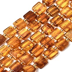 Natural Amber Beads Strands&nbsp;G-C260-A01-06