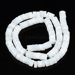 Natural Trochid Shell/Trochus Beads Strands&nbsp;SSHEL-N027-128
