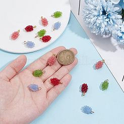24Pcs 4 Colors Resin Pendants&nbsp;RESI-PH0002-30