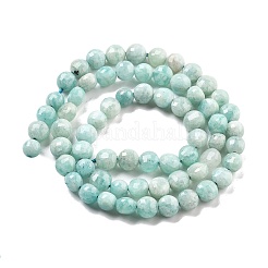 Natural Amazonite Beads Strands&nbsp;G-C179-J01-01