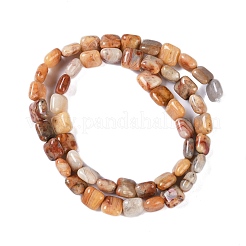 Natural Crazy Lace Agate Beads Strands&nbsp;G-M435-A04-01