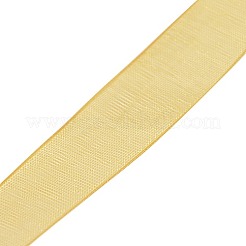 Polyester Organza Ribbon&nbsp;ORIB-L001-03-693