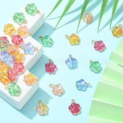 30Pcs 5 Colors Handmade Lampwork Charms&nbsp;PALLOY-CJ0002-66