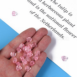 Transparent Acrylic Beads&nbsp;MACR-S373-95-B07