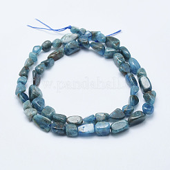 Natural Apatite Beads Strands&nbsp;LS-G-K203-13