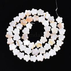Natural Freshwater Shell Beads Strands&nbsp;SHEL-S276-111A