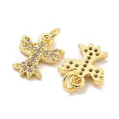 Brass Micro Pave Clear Cubic Zirconia Charms&nbsp;KK-Z044-37G