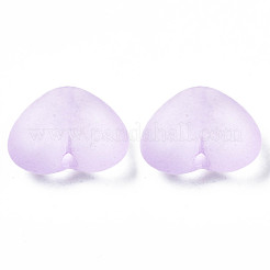 Transparent Acrylic Beads&nbsp;TACR-S134-030