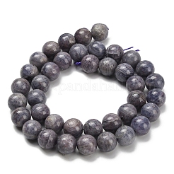 Natural Iolite Beads Strands&nbsp;G-C259-B06-10mm