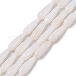 Natural Freshwater Shell Beads Strands&nbsp;SHEL-A004-03