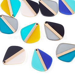10Pcs 5 Colors Transparent & Opaque Resin & Wood Pendants&nbsp;RESI-TA0004-64