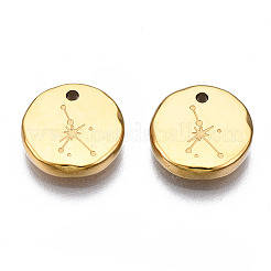 316 Surgical Stainless Steel Charms&nbsp;X-STAS-S116-418I-G